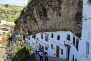 Da Malaga: Escursione guidata di un giorno a Ronda e Setenil de las Bodegas