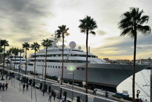 Designer Outlet -shoppailu + VIP Tesla X 360° kaupunkikierros