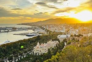 Designer Outlet -shoppailu + VIP Tesla X 360° kaupunkikierros