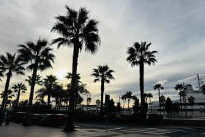 Designer Outlet -shoppailu + VIP Tesla X 360° kaupunkikierros