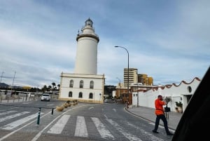 Designer Outlet -shoppailu + VIP Tesla X 360° kaupunkikierros