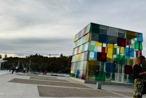 Designer Outlet -shoppailu + VIP Tesla X 360° kaupunkikierros