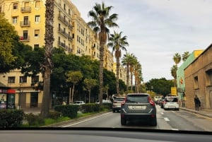 Designer Outlet -shoppailu + VIP Tesla X 360° kaupunkikierros