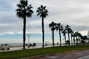 Designer Outlet -shoppailu + VIP Tesla X 360° kaupunkikierros