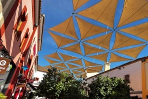 Designer Outlet -shoppailu + VIP Tesla X 360° kaupunkikierros