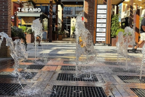 Designer Outlet -shoppailu + VIP Tesla X 360° kaupunkikierros