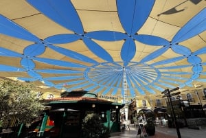 Designer Outlet -shoppailu + VIP Tesla X 360° kaupunkikierros