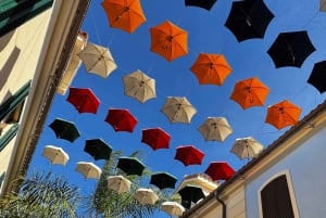 Designer Outlet -shoppailu + VIP Tesla X 360° kaupunkikierros