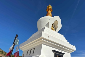 Designer Outlet -shoppailu + VIP Tesla X 360° kaupunkikierros