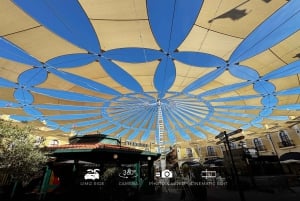 Designer Outlet Shopping + VIP Tesla X 360° byrundtur