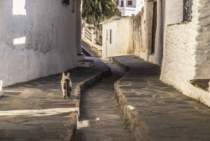 Discovering Las Alpujarras from Málaga - SemiPrivate