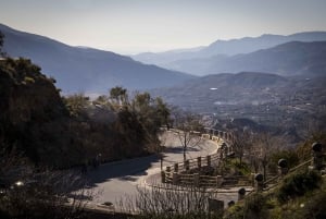 Discovering Las Alpujarras from Málaga - SemiPrivate