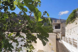 Découverte des Alpujarras depuis Malaga - Semi-privé