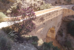 Découverte des Alpujarras depuis Malaga - Semi-privé