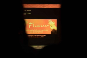 Duik erin en ontdek: Flamenco in een interactieve reis