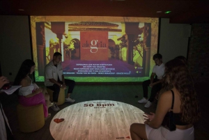 Plongez et découvrez : Le flamenco dans un voyage interactif