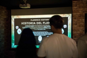 Sumérgete y Descubre: El flamenco en un viaje interactivo