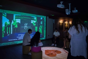 Tauche ein und entdecke: Flamenco in einer interaktiven Reise