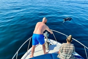 Z Benalmádena i Torremolinos: Wycieczka łodzią z obserwacją delfinów
