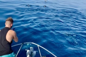 De Benalmádena e Torremolinos: Passeio de barco para observação de golfinhos