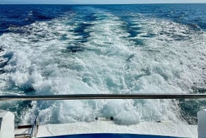 Von Benalmádena & Torremolinos aus: Delphinbeobachtung Bootsfahrt