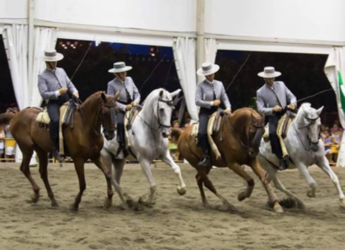 El Ranchito - Equestrian centre and show