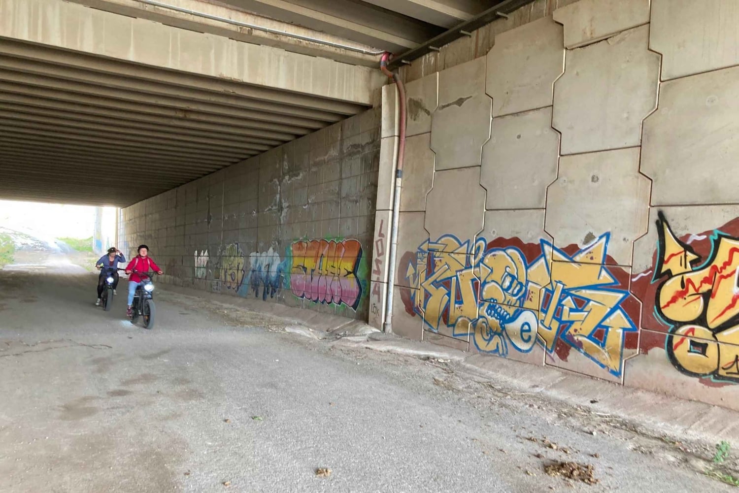 Elektrisk FAT-cykling i Montes de Malaga och på landsbygden