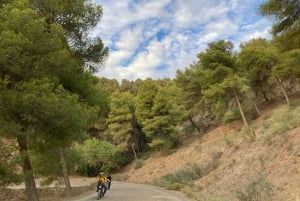 Vélo électrique FAT à Montes de Malaga et à la campagne
