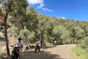 Elektrisk FAT-cykling i Montes de Malaga och på landsbygden