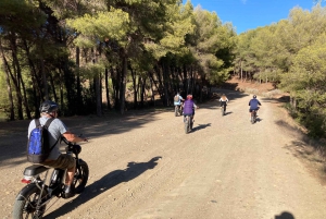 Elektrisk FAT-cykling i Montes de Malaga och på landsbygden