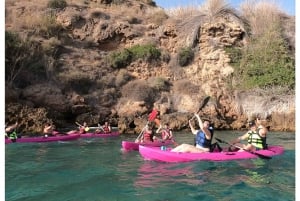 Nerja : Excursion guidée en kayak sur les falaises de Maro-Cerro Gordo