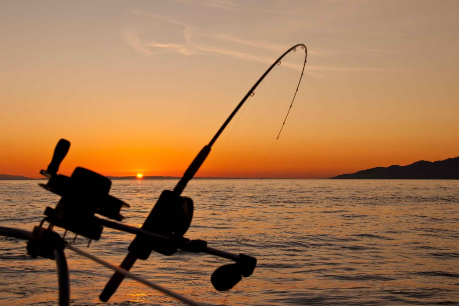 Estepona: Fishing Tour StartFisher 1060