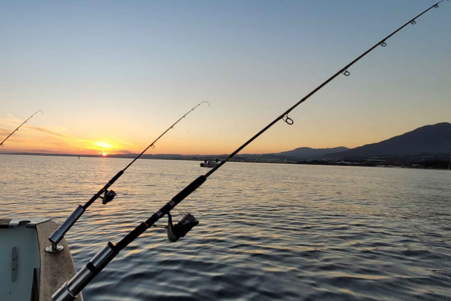 Estepona: Fishing Tour StartFisher 1060
