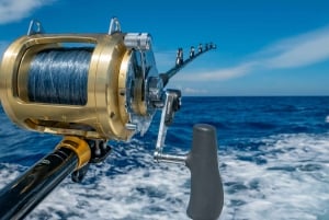 Estepona: Fishing Tour StartFisher 1060