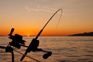 Estepona: Fishing Tour StartFisher 1060