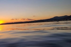 Estepona: Fishing Tour StartFisher 1060