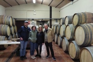 EXCLUSIVE WINE TOUR- Vineyard & cellar visit- 6 wines+tapas