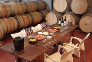EXCLUSIVE WINE TOUR- Vineyard & cellar visit- 6 viiniä+tapas