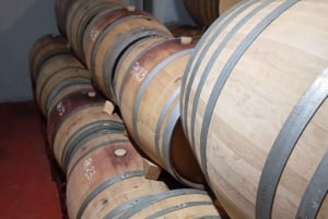 EXCLUSIVE WINE TOUR- Vineyard & cellar visit- 6 wines+tapas