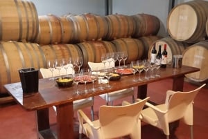 EXCLUSIVE WINE TOUR - Visita a vinhedos e adegas - 6 vinhos+tapas