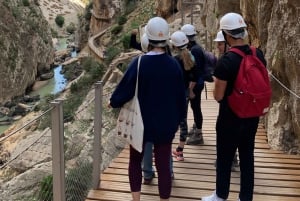 Excursion to the CAMINITO del REY from Seville