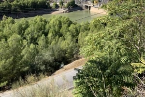 Excursion to the CAMINITO del REY from Seville