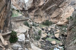 Excursion to the CAMINITO del REY from Seville