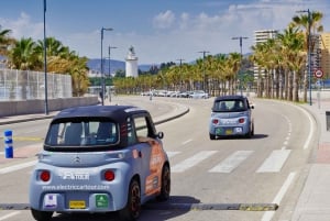 Explore Málaga and the Treasure Caves by Electric Car