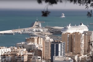 Express tuktuki tour in Malaga: Gibralfaro Viewpoint and Photography