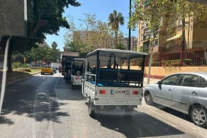 Express tuktuki tour in Malaga: Gibralfaro Viewpoint and Photography