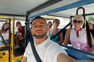 Express tuktuki tour in Malaga: Gibralfaro Viewpoint and Photography