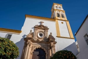 Vistas fascinantes de Málaga para turistas dos EUA Um passeio a pé