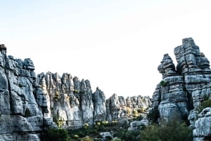 For Photographer Málaga: Photo Tour with Tesla X