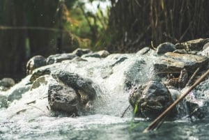 For Photographer Málaga: Photo Tour with Tesla X